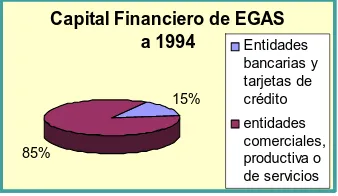Figure 1: Composición del Capital Financiero del Grupo Egas a 1994 