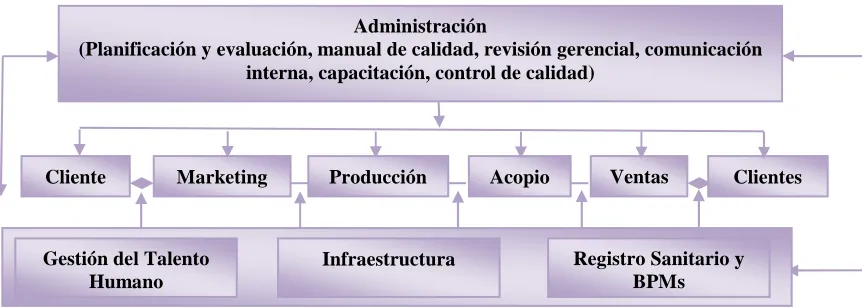 Cuadro 4.2: Esquema de comercialización del Centro de Exportaciones Salinerito y CONA 