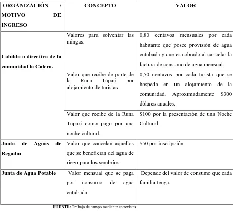 TABLA 3: TIPOS DE INGRESO POR ORGANIZACIÓN EN LA CALERA 