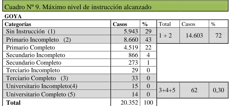 Cuadro Nº 9. Máximo nivel de instrucción alcanzado     