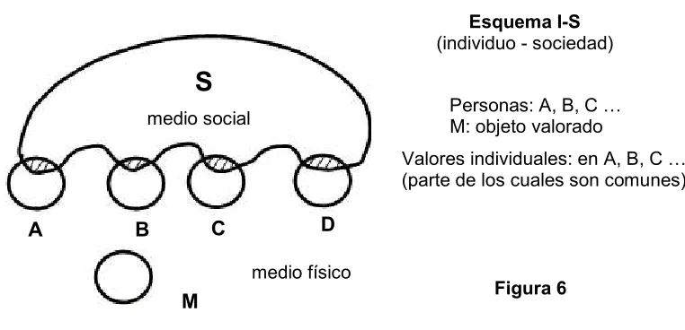 Figura 6 