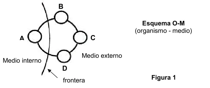 Figura 1 