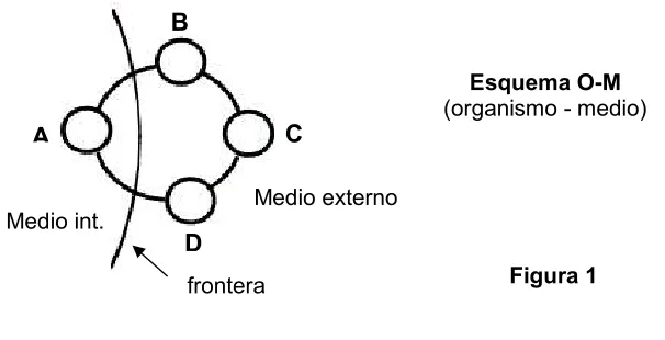 Figura 1 