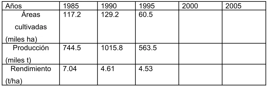 Cuadro 3: Producción citrícola 1985 - 2005.