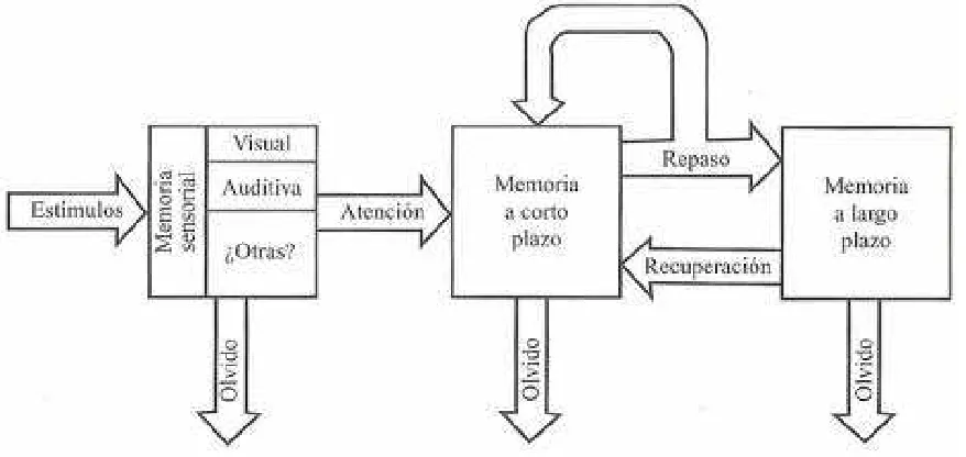 FIGURA 1.1 