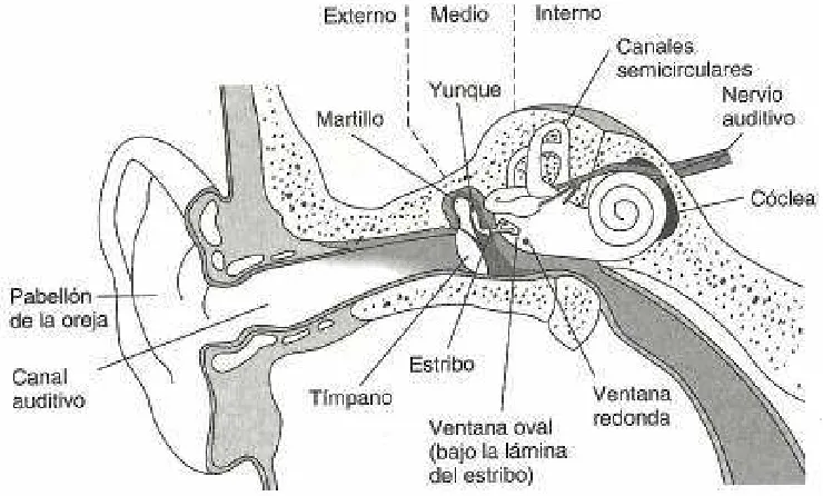 FIGURA 2.1 