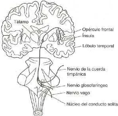 FIGURA 3.1 