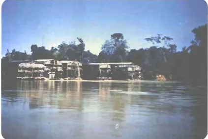 FIG. 11 - As Dragas.