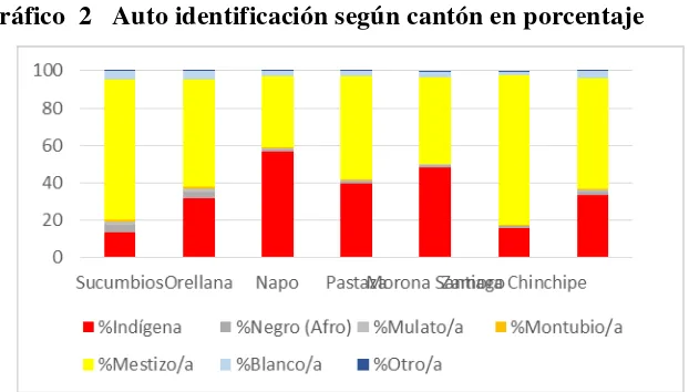 Tabla 3   Auto identificación según provincia de la región amazónica 