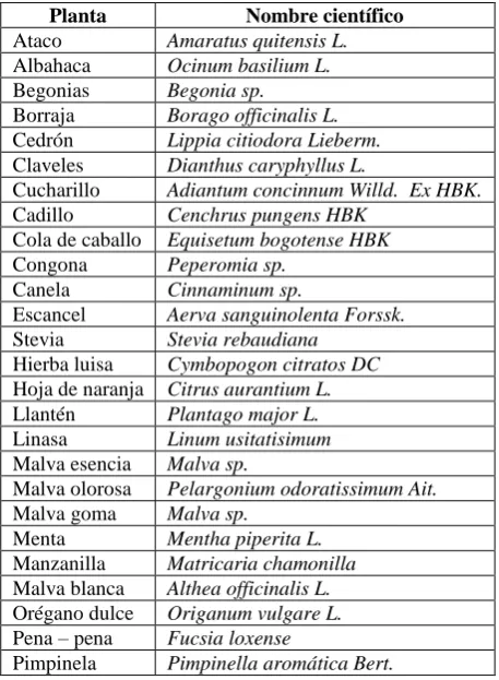 Tabla 2. Composición de la horchata 
