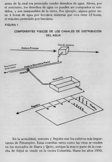 FIGURA 1