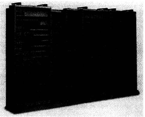Figura 4. Cintoteca.
