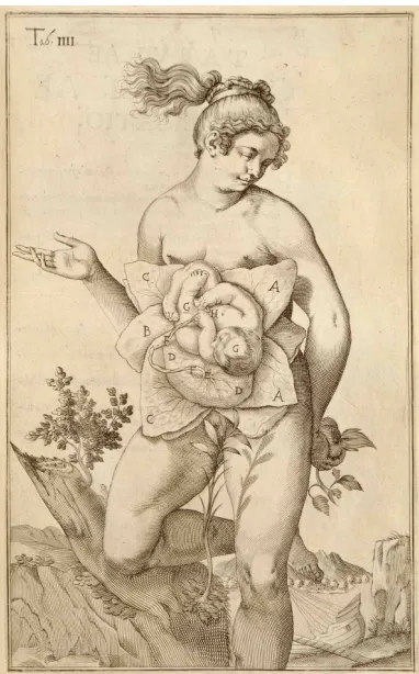 FIG. 1:     De formatofoetu... 