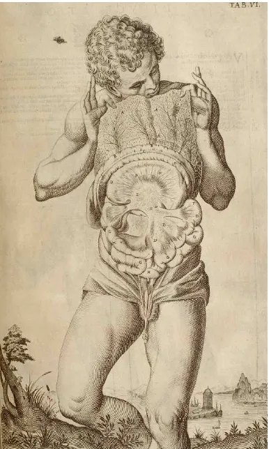 FIG. 3:   Tabulae Anatomicae... Venice, 1627. Copperplate engraving. National Library of Medicine