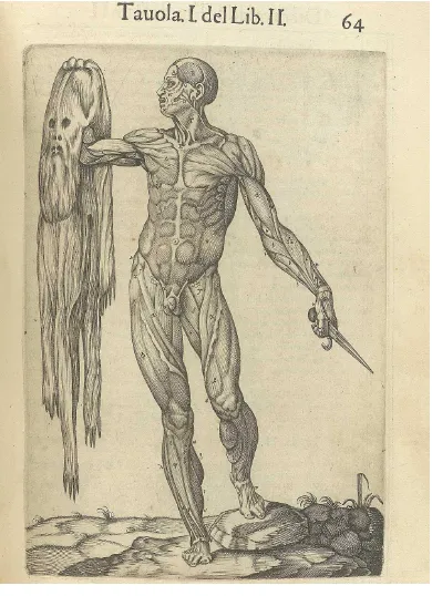 FIG. 5:    Anatomia del corpo humano... 