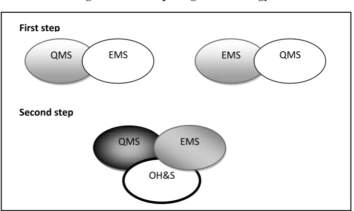 Figure 6. Two step integration strategy 