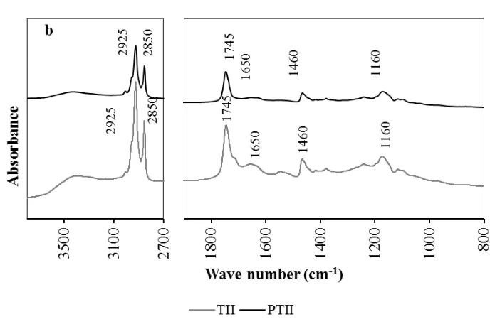 Figure 4.9. FTIR spectra for the initial (TII) and pasteurized (PTII) pig waste.