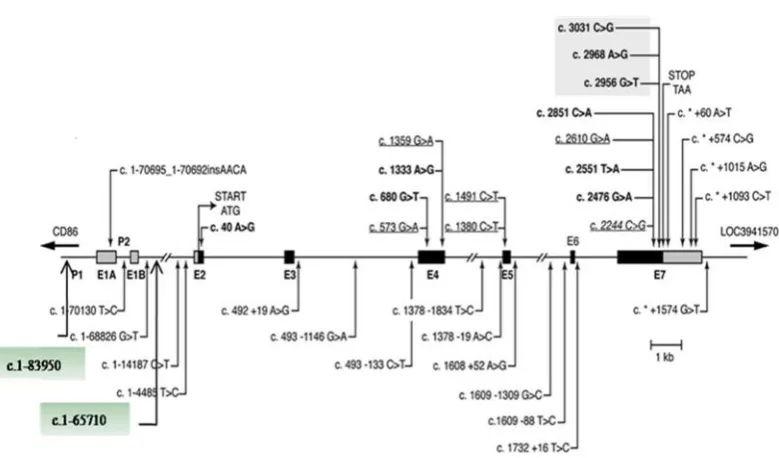 Figura 3.