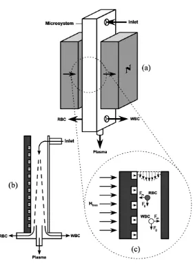 Figure 3.Schematic of magnetophoretic microsystem design by Furlani [6]