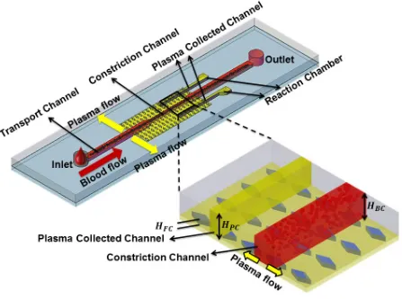Figure 24. Schematic diagram of the blood plasma separation microdevice 