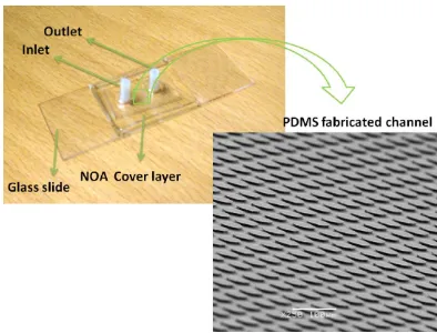 Figure 3. Optical image of a packaged MIMP and SEM details of the integrated micropillars