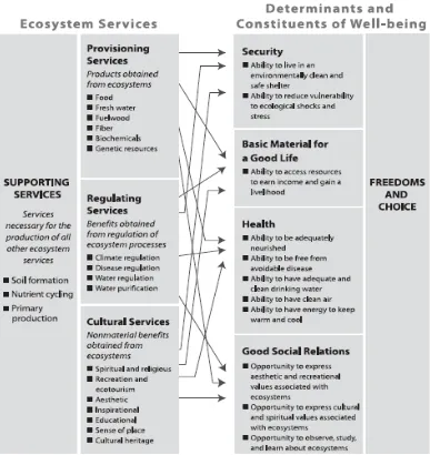 Fig 1.2 Ecosystem Services and their links to Human Well-being. (Source: Millenium 
