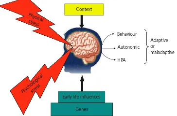Figure 1: Features involved in thedevelopment of psychiatric disorders.