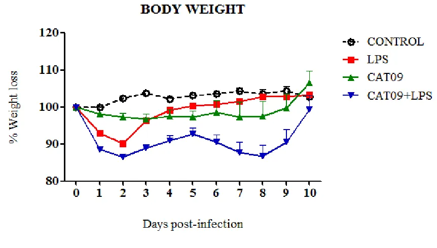 Figure 10. Influence of on body weight on CAT09 infection on LPS treated mice. Groups of 48 mice 