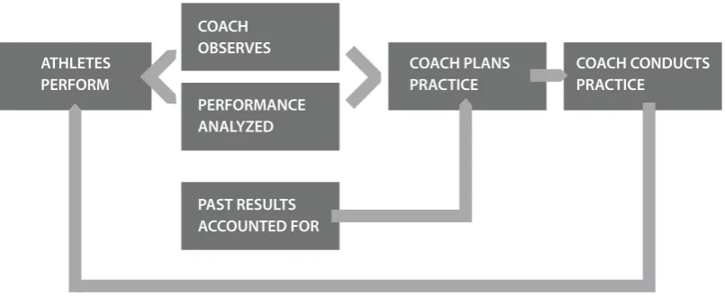 Figure 3: Diagram representing the coaching process.