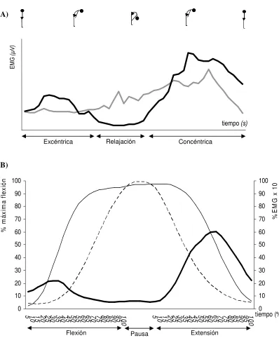Figura 1. Flexo-extensión del tronco. A) Activación del erector spinae (paciente con dolor lumbar / sujeto sin dolor )  B) Porcentajes de flexión de raquis lumbar ( __ ) y la cadera ( _ _ _  ), y activación del erector spinae () en relación al ritmo lumbo-