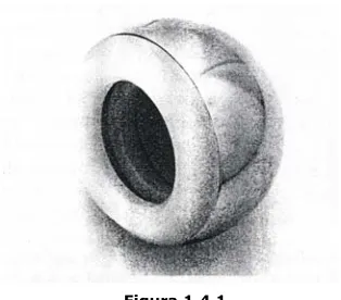 Figura 1.4.1 