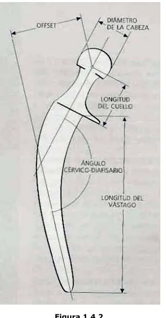 Figura 1.4.2 