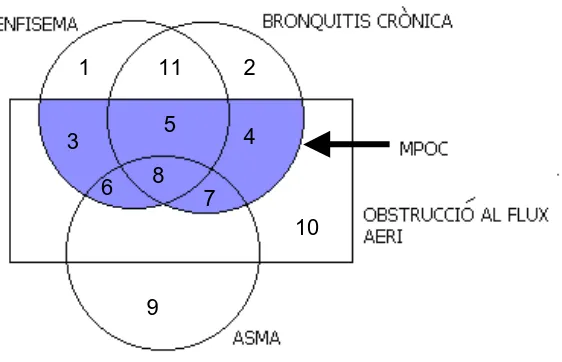 Figura 1.1 Diagrama no proporcional dels malalts amb bronquitis crònica, emfisema i asma