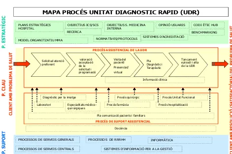 Fig.4. MAPA PROCÉS UNITAT DIAGNOSTIC RAPID (UDR)