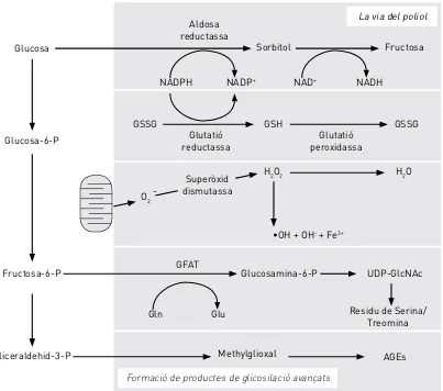 Figura 8. Esquema de les vies interrelacionades del metabolisme derivat de la glucosa en situacions d’hiperglucèmia