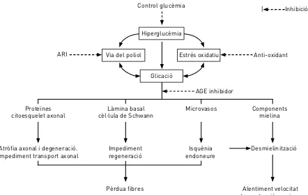 Figura 9. Mecanismes patogènics 