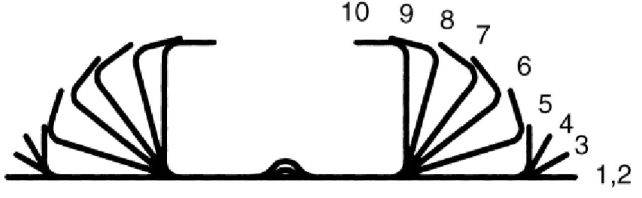 Fig 3.5 Exemple de flor per fabricar un perfil utilitzant 10 estacions. Font [99] 
