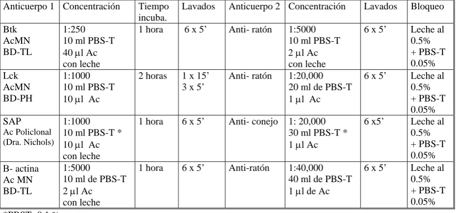 Tabla 5. Anticuerpos que se probaron y concentraciones finales. 