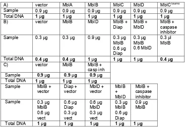 Table M.4. Amounts of DNA used in the different cell death experiments. A) Capacity of first experiment, the total amount of DNA was not the same for all sampleseach two wellsone Mbl isoforms to induce cell death was evaluated transfecting 0.9 µg of expres