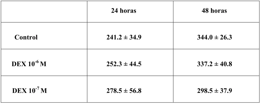 TABLA 4.       PROLIFERACION     CELULAR 