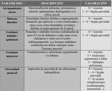 Tabla 6: Sistema de puntuación de Brasfield. 