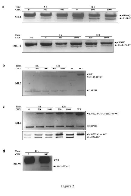 Figure 2  