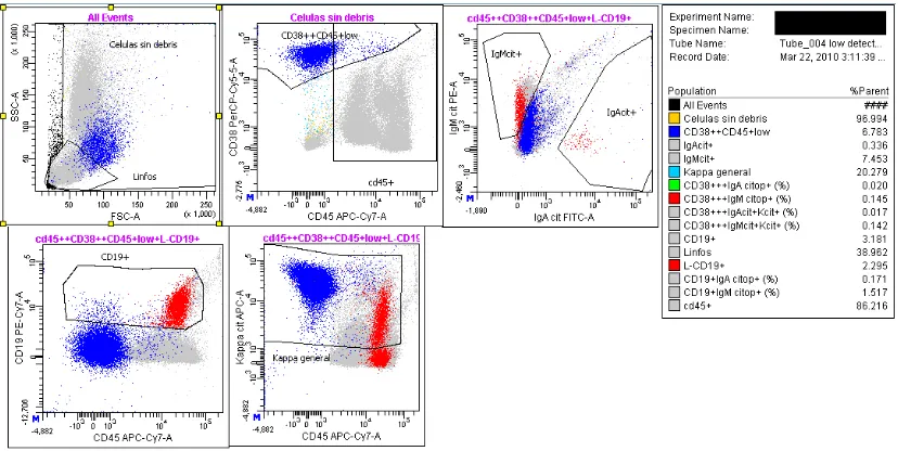 Figura 26. Tubo-3 de MO: diseñado para analizar marcadores de valor pronóstico en CP de MO(CD28, CD117 y Anexina-V)(azul) como para linfocitos B (rojo) que se utilizó como población control para establecer la mortalidad 