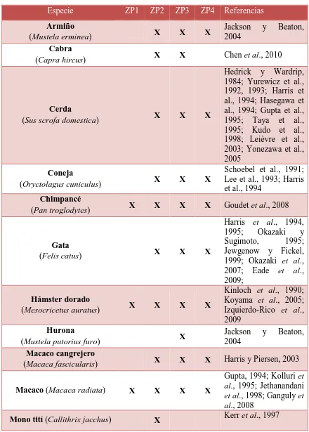Tabla.1. Resumen de las glicoproteínas de la ZP descritas en los diferentes mamíferos (Tomado de la Tesis Doctoral de Carla Moros Nicolás, 2015)