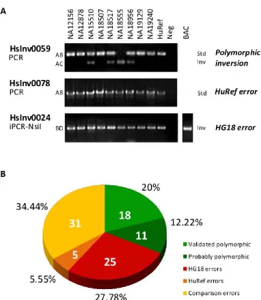 Figure 3. Validation of polymorphic inversions. A. Inversion genotyping assays were used on a 10-individual panel formed by nine individuals with available fosmid paired-end mapping (PEM) data (Kidd et al