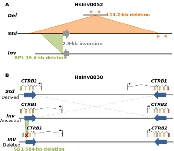 Figure 4. Examples of validated inversions. 
