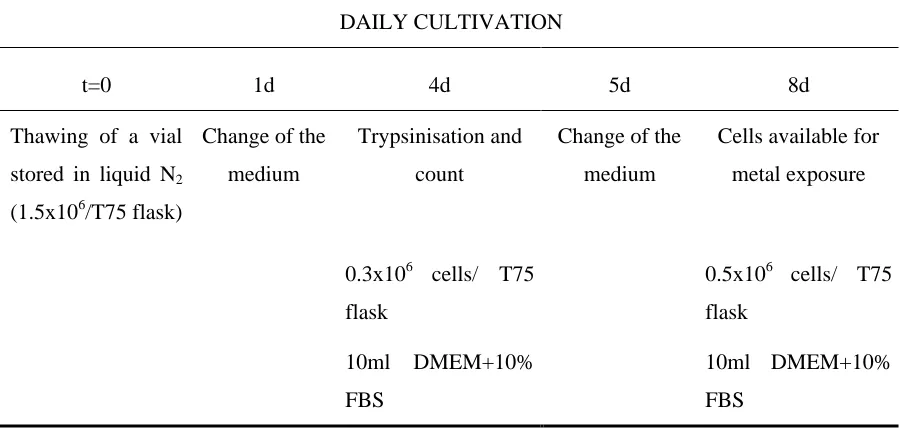 Figure 3.1- Cultivation and expansion protocol for HaCaT cell line to be exposed to