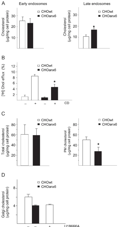 Figure 2: Cholesterol imbalance in CHOanx6 cells. A) The EE 