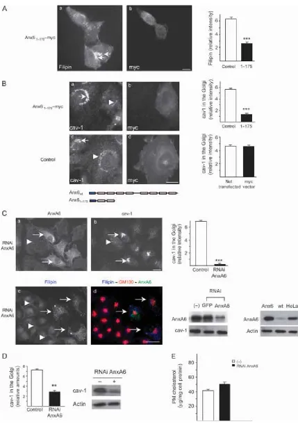 Figure 5: Legend on next page.