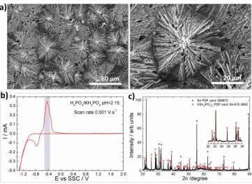 Fig. 3.1 b shows the morphology of a sample anodized at 10 V and 50 °C. In such conditions, a compact oxide layer is again formed, but presents several pyramidal pits due to its localized corrosion